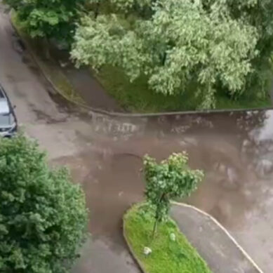 Калининградскую область накрыли летние ливни