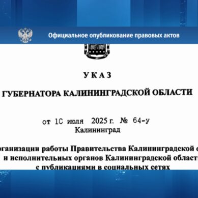 Губернатор Калининградской области установил для представителей органов власти лимиты на подготовку ответов на сообщения в официальных телеграм-каналах и соцсетях