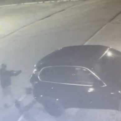 В Гусеве полицейские изъяли у злоумышленника похищенные с улицы самокаты, которые предназначены для проката
