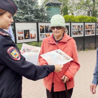 Всего за одну неделю калининградцы перевели мошенникам 50 миллионов рублей