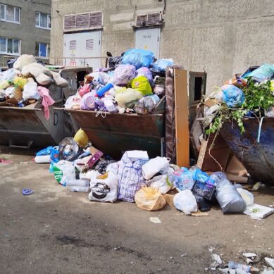 В Калининграде жители разных районов жалуются на переполненные мусорные контейнеры во дворах
