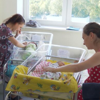 Сегодня в Калининграде пройдёт первый в России опен-эйр для будущих мам