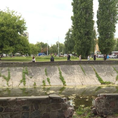 Сквер на улице Краснооктябрьской в Калининграде закрывается на реконструкцию