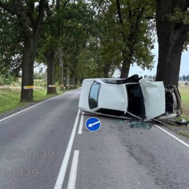 Ранним утром в Правдинском районе легковушка врезалась в дерево и перевернулась