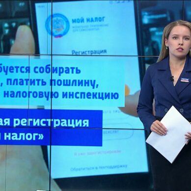 Калининградцев, которые сдают в аренду жилье, призвали оформлять самозанятость
