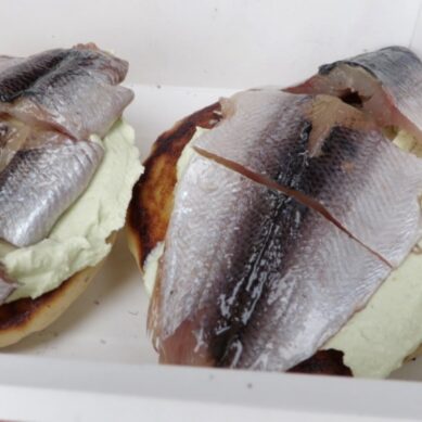 «Ряпушковый самолёт» из Петрозаводска в Калининград. В самый рыбный день года посёлок Краснолесье полон приятных сюрпризов