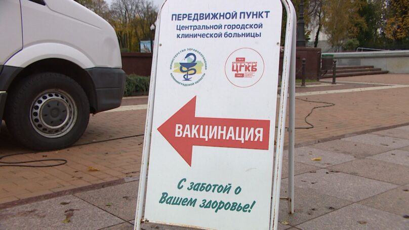 В Калининградской области от гриппа привито уже около 50% жителей
