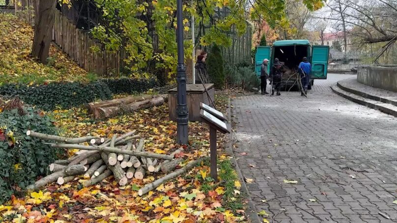 Калининградская область сегодня переживала последствия ночного шторма