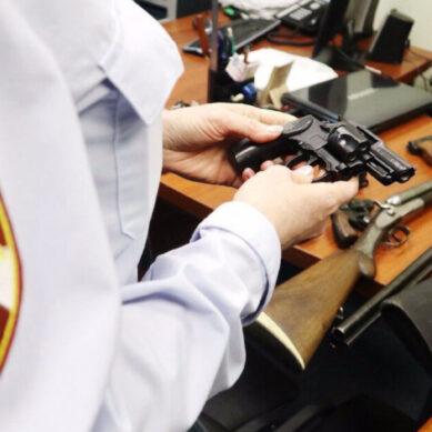 470 жителей Калининградской области привлечены к административной ответственности за нарушения в сфере оборота оружия