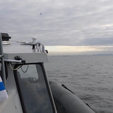 Водолазы Балтийского флота обезвредили боеприпасы времён Великой Отечественной войны