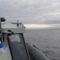 Водолазы Балтийского флота обезвредили боеприпасы времён Великой Отечественной войны