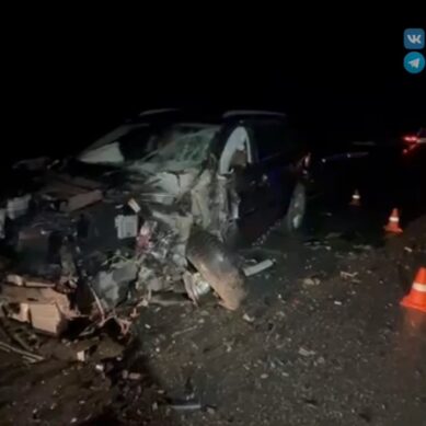 BMW на встречке: водитель и пассажиры «баварца» в больнице