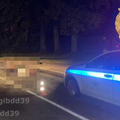 В Правдинском районе автомобилист насмерть сбил пешехода и скрылся