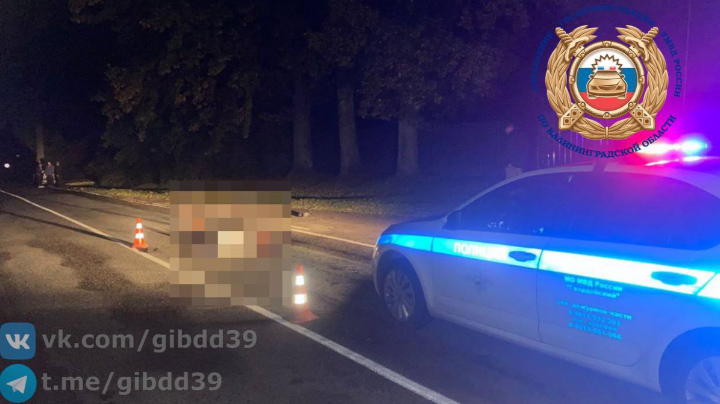 В Правдинском районе автомобилист насмерть сбил пешехода и скрылся