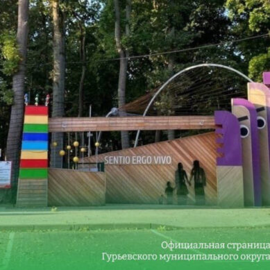 С 16 по 23 октября Парк сенситивного развития в Гурьевске будет закрыт для посетителей в связи с реконструкцией зелёных зон