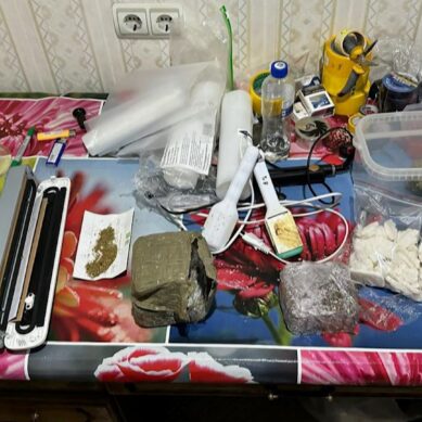 Под видом интернет-магазина детских товаров трое жителей региона организовали продажу наркотиков