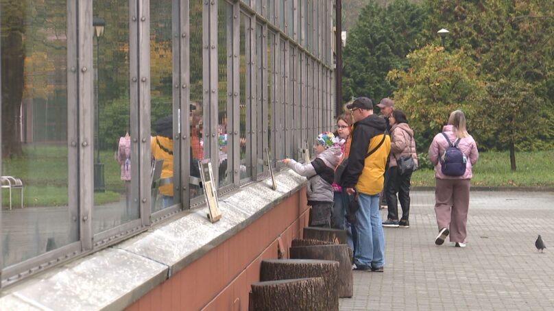 Завтра в Калининграде стартует традиционный музейно-семейный фестиваль «Острова»