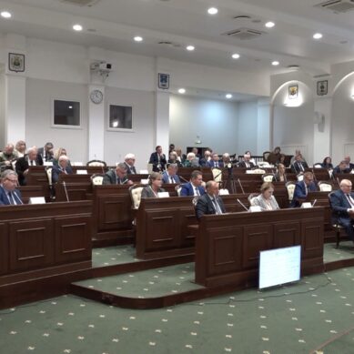 В Калининградской области появятся правила выступлений уличных музыкантов
