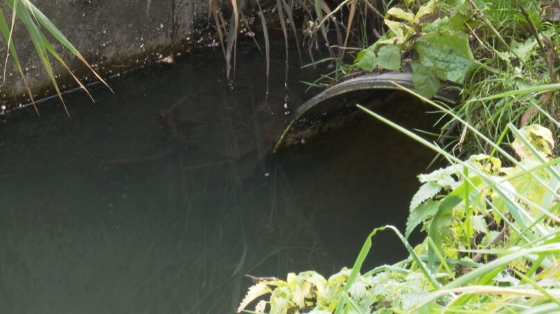 Минприроды продолжает масштабную работу по ликвидации несанкционированных выпусков в реку Товарную