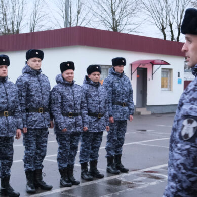 В специальном моторизованном полку Росгвардии пополнение