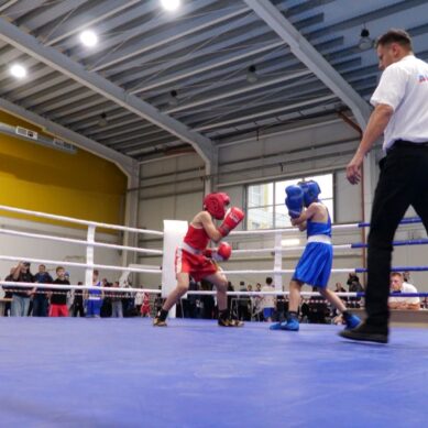 В Гусеве состоялось Первенство Министерства образования Калининградской области по боксу