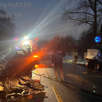 Обгон обернулся смертью для водителя иномарки