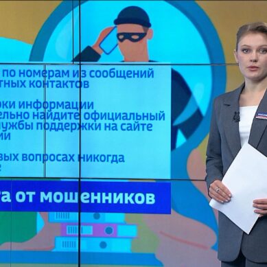 На какие уловки мошенников ведутся жители Янтарного края и всей страны?