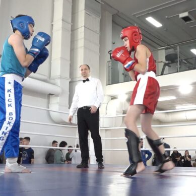 На «Автотор-Арене» прошёл областной турнир по савату