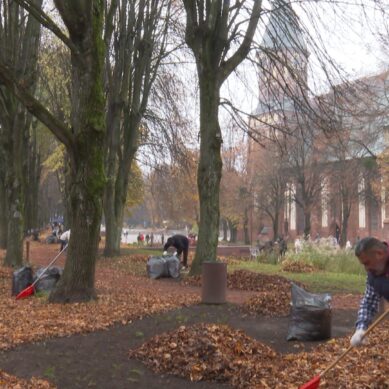 Калининградцы собрались на субботник на Острове Канта