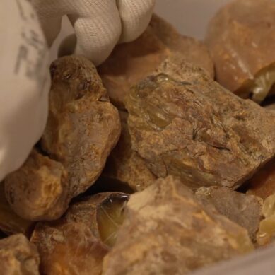 В Калининградской области обновлен годовой рекорд добычи солнечного камня