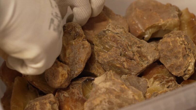 В Калининградской области обновлен годовой рекорд добычи солнечного камня