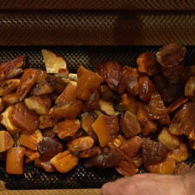 Калининградский янтарный комбинат добыл с начала года 700 тонн балтийского самоцвета