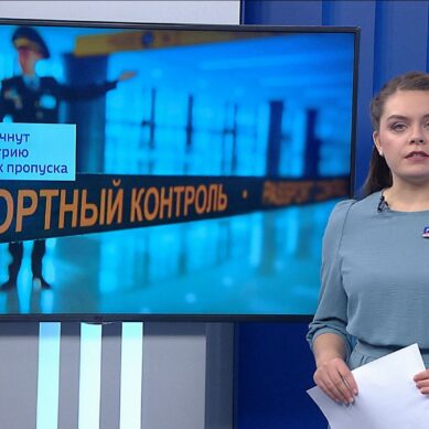 Какие законы вступают в силу в последний месяц 2025 года