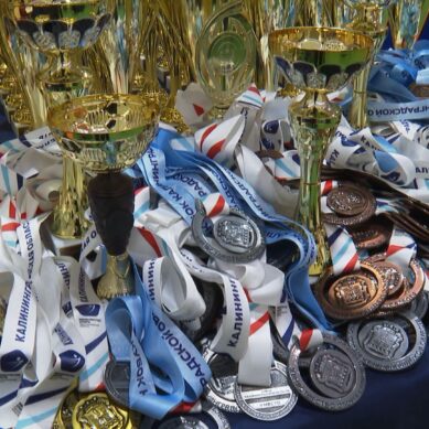 В Калининграде прошёл Кубок области по муай-тай