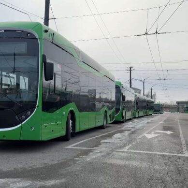 В Калининград доставили 20 новых троллейбусов