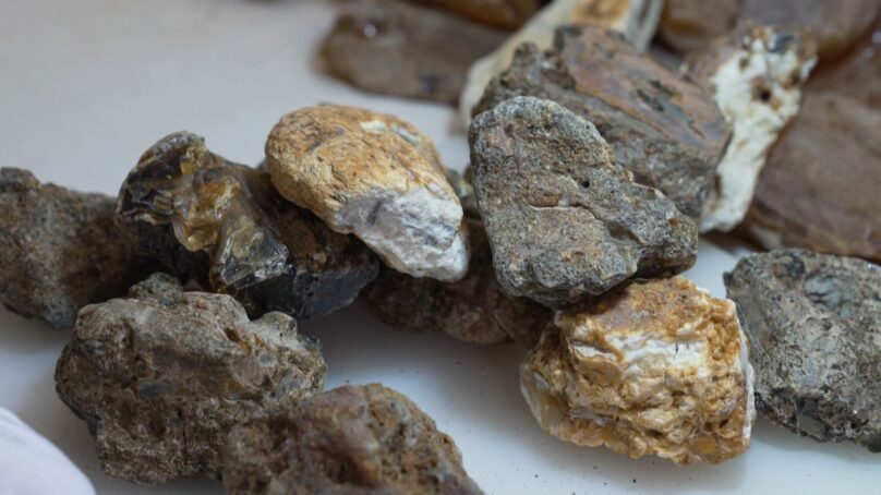 Спрос на чёрный янтарь за 7 лет вырос в 12 раз