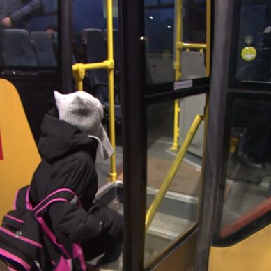 На рост зарплат водителей школьных автобусов из областного бюджета перечислено около 70 млн рублей