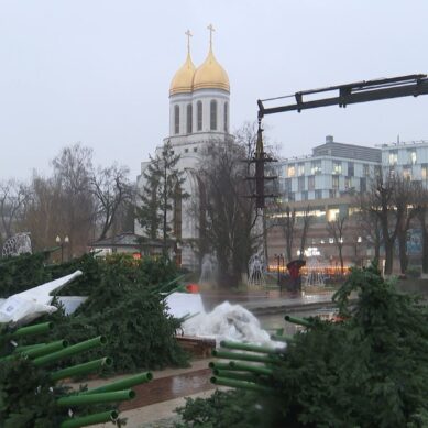 На площади Победы приступили к установке искусственной ели