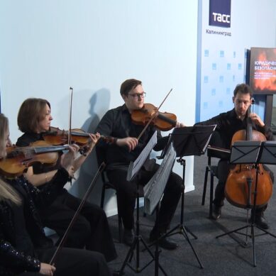 В Калининграде начал работу информационный центр ТАСС