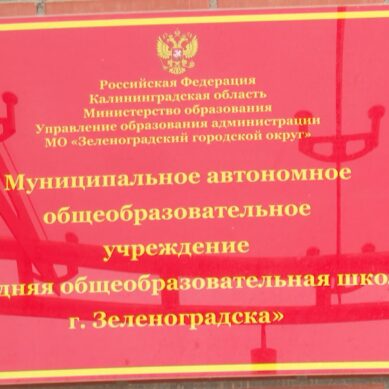 Глава Зеленоградского муниципального округа Александр Китаев ответил на вопрос о строительстве учебных заведений в районе