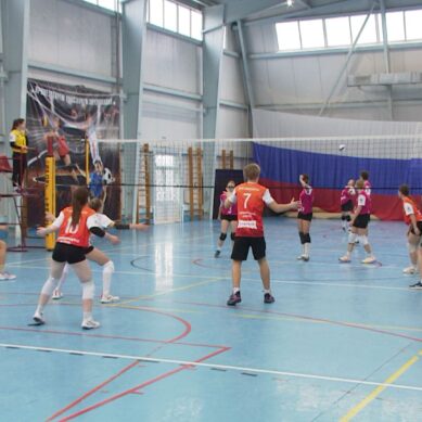 Кубок «Локо» по волейболу на призы губернатора Калининградской области добрался до второго тура