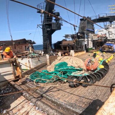 Качество рыбы и её завышенную стоимость обсудили в правительстве регионе