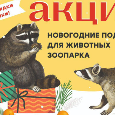 Калининградский зоопарк объявляет начало душевно-трогательной акции «Новогодние подарки для животных»