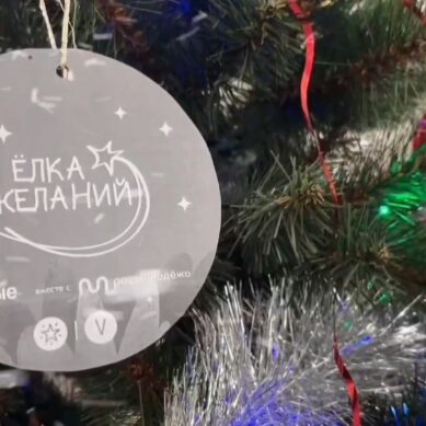 Калининградские росгвардейцы исполнили детские мечты в рамках акции «Ёлка желаний»