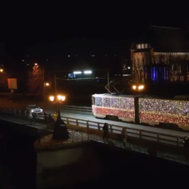 Администрация Калининграда информирует о работе городского транспорта в новогодние дни