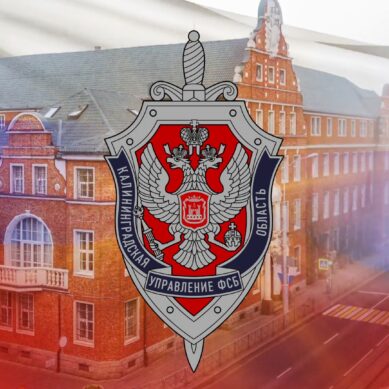 Сегодня свой профессиональный праздник отмечают работники органов безопасности Российской Федерации