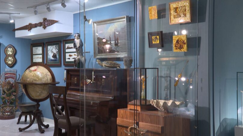 Янтарная каюта Музея Мирового океана пополнилась новыми экспонатами