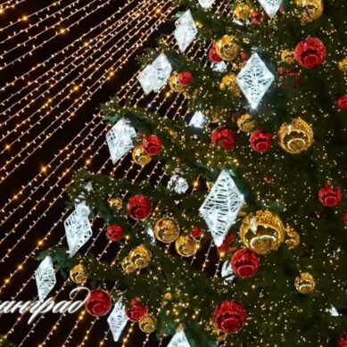 В эти новогодние каникулы для калининградцев и гостей области подготовили более 200 мероприятий