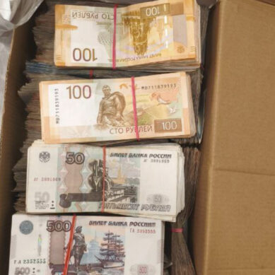 При содействии СОБР «Викинг» Росгвардии задержан подозреваемый в разбойном нападении на склад