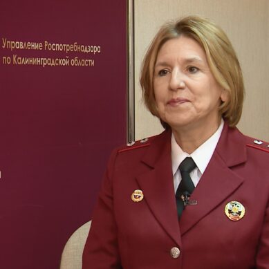 Елена Бабура, руководитель областного Управления Роспотребнадзора. Интервью